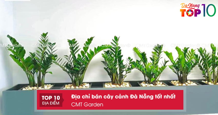 cay-canh-da-nang-cmt-garden-top10danang