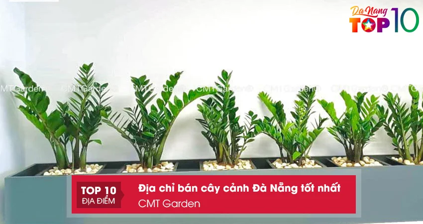 cay-canh-da-nang-cmt-garden-top10danang