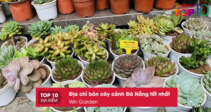 cay-canh-win-garden-top10danang