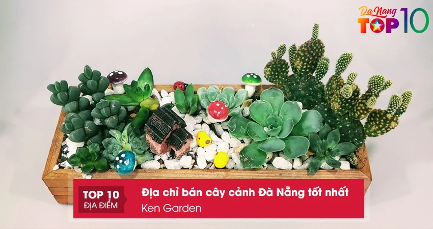 cay-xanh-ken-garden-top10danang