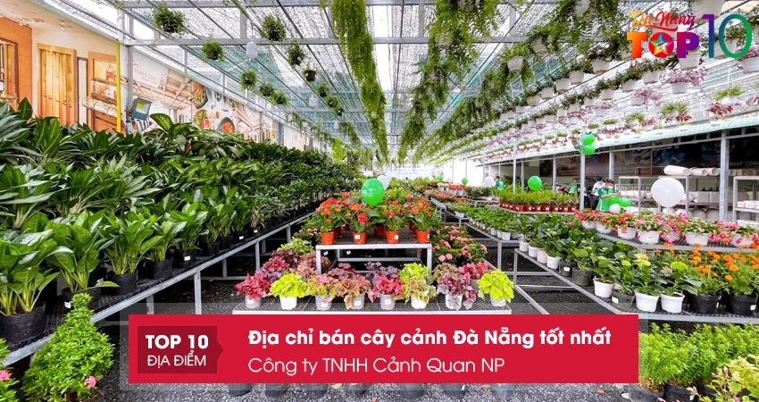 cong-ty-tnhh-canh-quan-np-top10danang