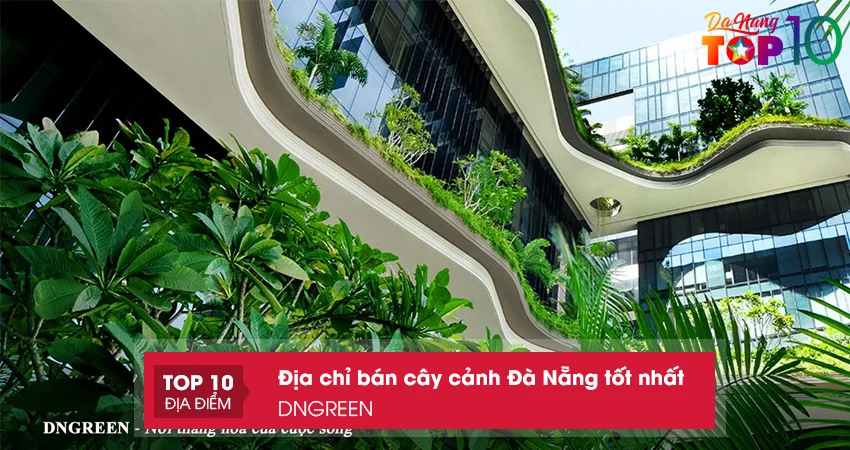 dngreen-cong-ty-cay-canh-da-nang-uy-tin-top10danang