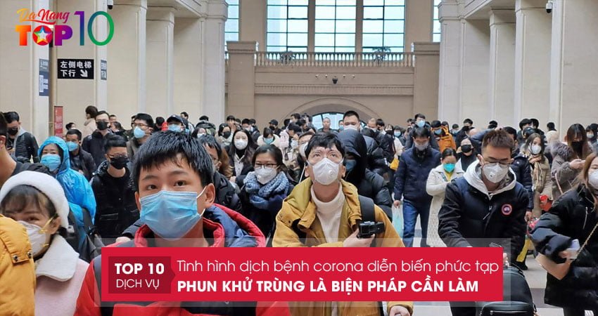top-10-cong-ty-phun-thuoc-khu-trung-corona-da-nang-uy-tin-1-top10danang
