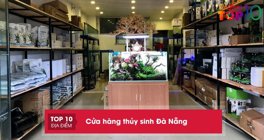 Bạn đã biết 10+ cửa hàng thủy sinh Đà Nẵng độc đáo giá rẻ