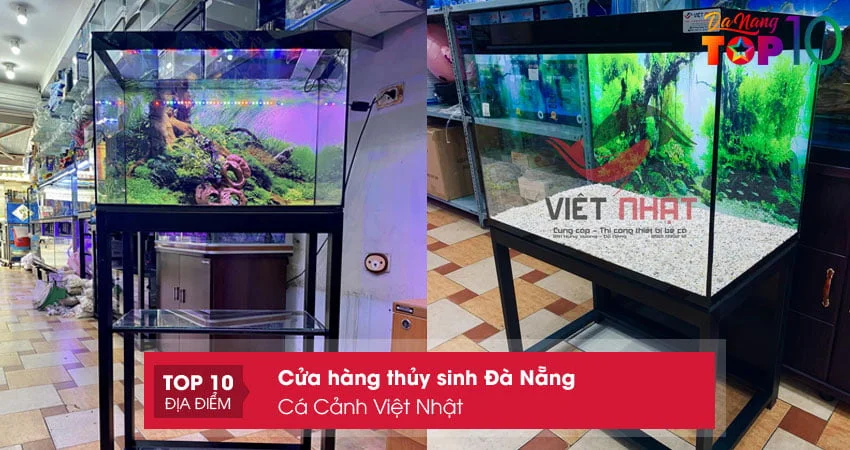 ca-canh-viet-nhat-ca-canh-thuy-sinh-da-nang-top10danang