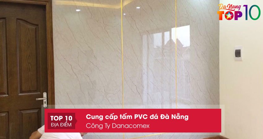 cong-ty-danacomex-top10danang