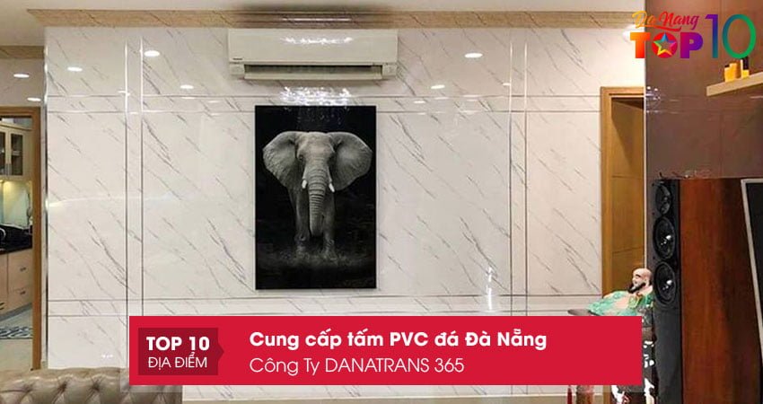 cong-ty-danatrans-365-top10danang