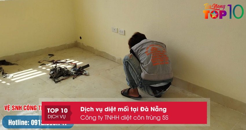 cong-ty-tnhh-diet-con-trung-5s-top10danang