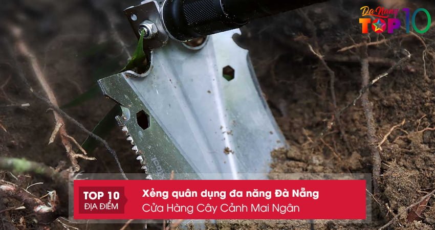cua-hang-cay-canh-mai-ngan-top10danang
