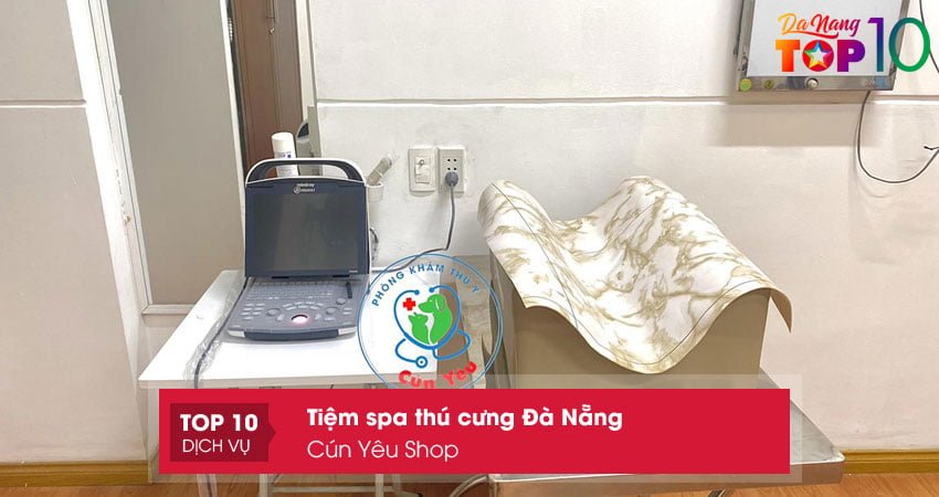 cun-yeu-shop-tiem-spa-thu-cung-da-nang-chuyen-nghiep-top10danang