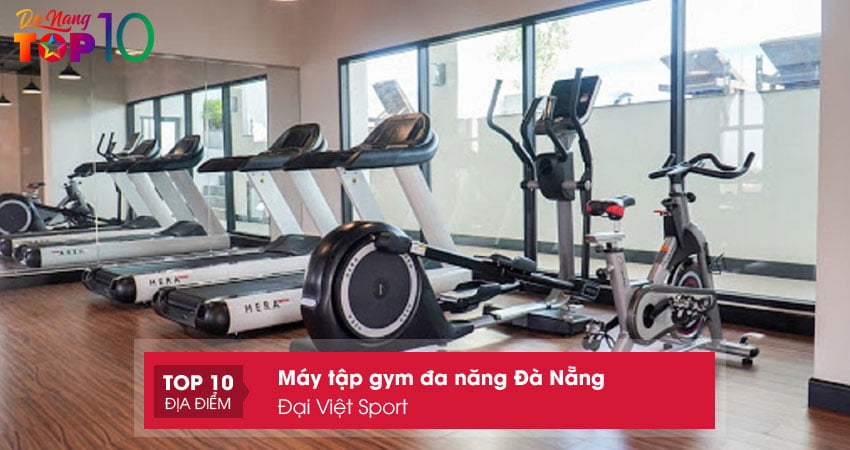 dai-viet-sport-ban-may-tap-gym-da-nang-da-nang-chat-luong-gia-retop10danang