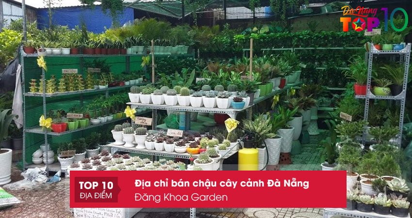 dang-khoa-garden-ban-chau-cay-canh-tai-da-nang-top10danang