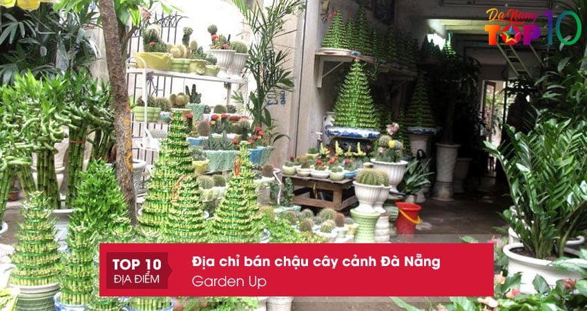 garden-up-chau-xi-mang-da-nang-top10danang