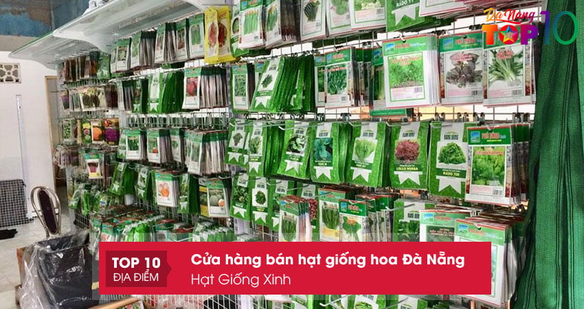 hat-giong-xinh-hat-giong-hoa-da-nang-chat-luong-top10danang