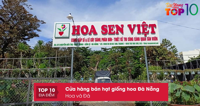 hoa-va-da-shop-hat-giong-hoa-da-nang-gia-re-top10danang