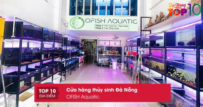 ofish-aquatic-cua-hang-thuy-sinh-ca-canh-da-nang-top10danang