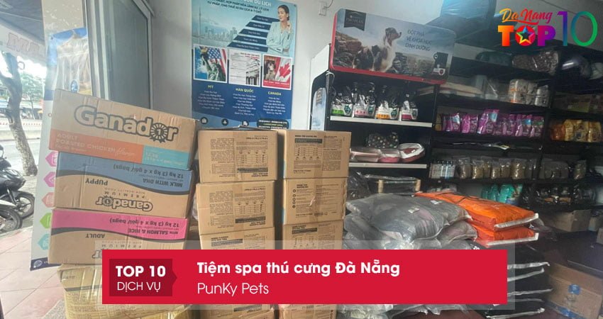 punky-pets-dia-chi-cham-soc-cho-meo-da-nang-top10danang