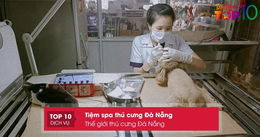 the-gioi-thu-cung-da-nang-top10danang