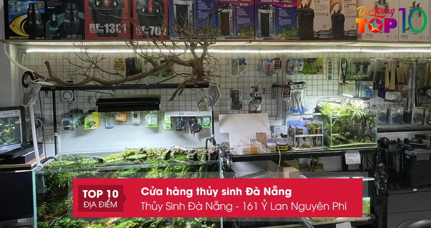 thuy-sinh-da-nang-161-y-lan-nguyen-phi-top10danang