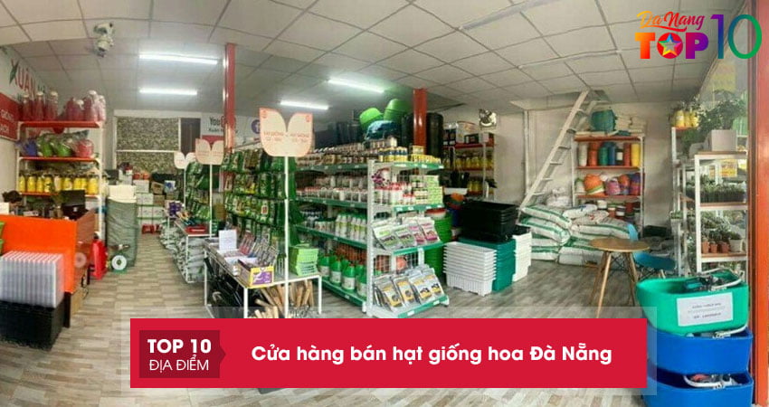 Top 10+ cửa hàng bán hạt giống hoa Đà Nẵng chất lượng cao