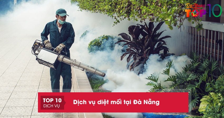 Top 10+ dịch vụ diệt mối tại Đà Nẵng an toàn và uy tín nhất