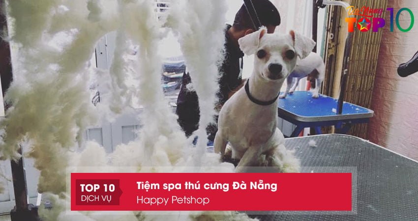 top-pets-lam-dep-cun-yeu-da-nang-top10danang