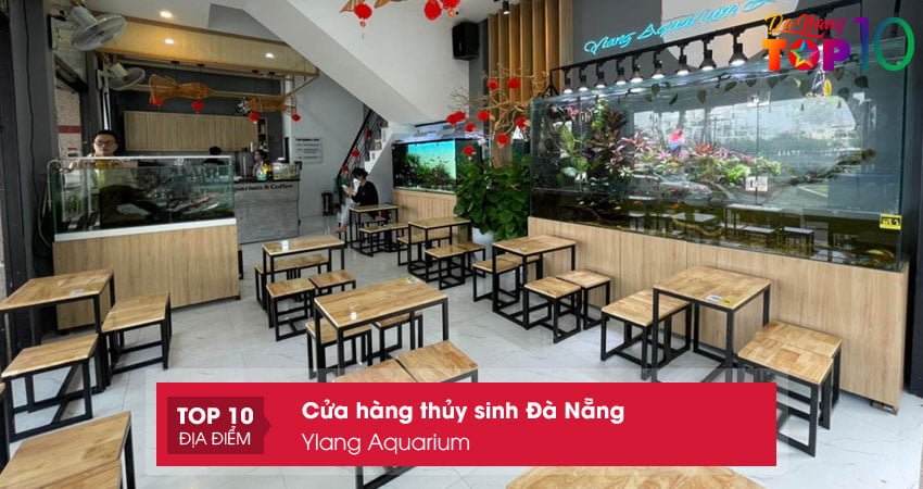 ylang-aquarium-cua-hang-thuy-sinh-da-nang-chuyen-nghiep-top10danang