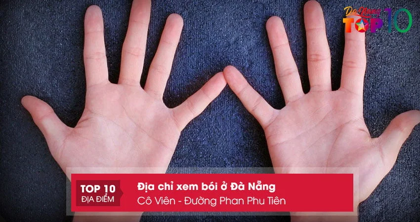 co-vien-duong-phan-phu-tien-top10danang