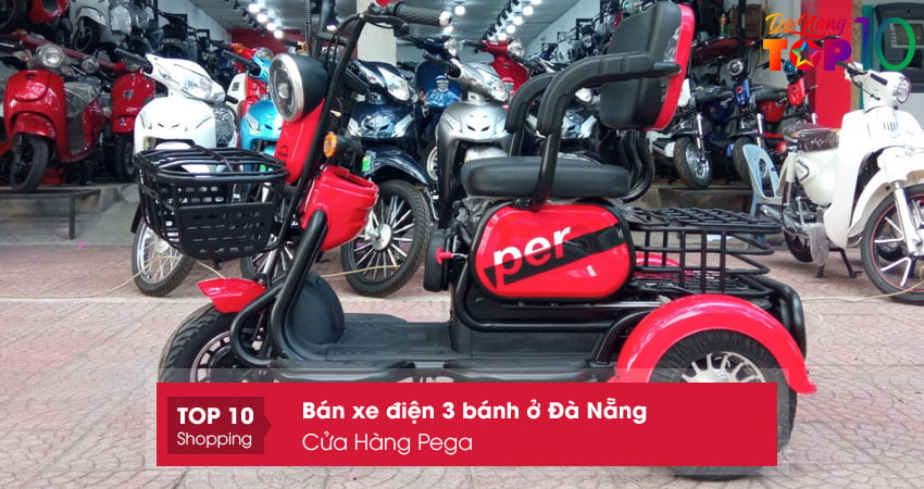 cua-hang-pega-top10danang