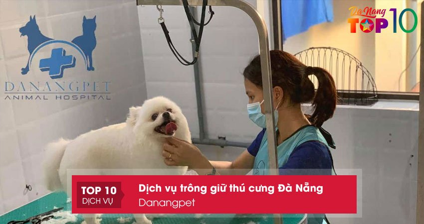 danangpet-top10danang