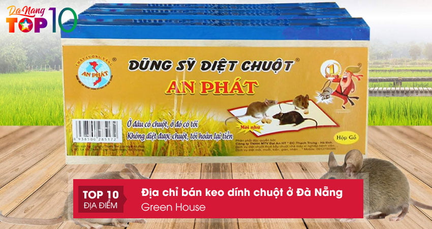dia-chi-ban-keo-dinh-chuot-o-da-nang-green-house-top10danang