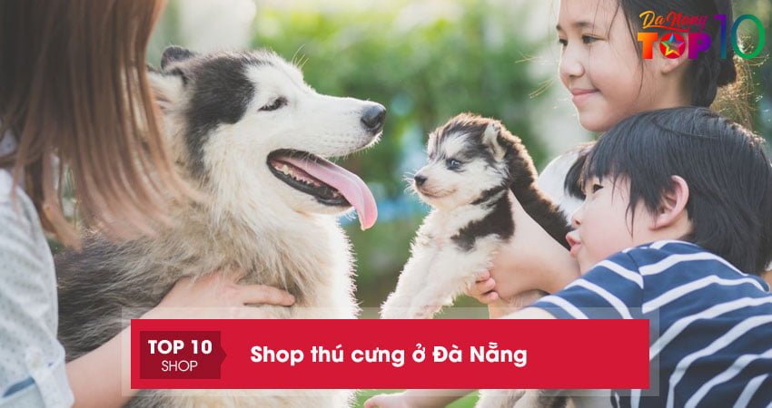 Top 10+ shop thú cưng ở Đà Nẵng uy tín đáng mua nhất