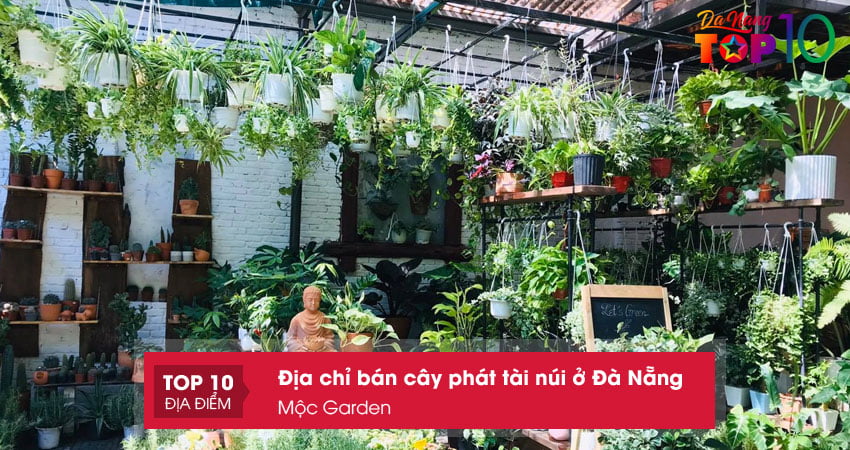 moc-garden-cong-ty-ban-cay-phat-tai-nui-o-da-nang-chat-luong-top10danang