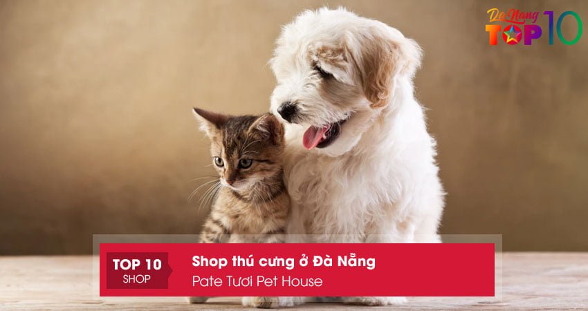 pate-tuoi-pet-house-shop-thu-cung-o-da-nang-chat-luong-nhat-top10danang