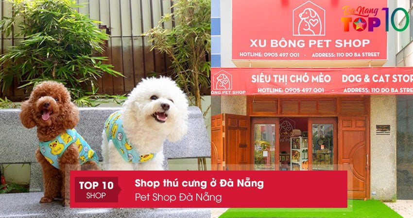 pet-shop-da-nang-top10danang