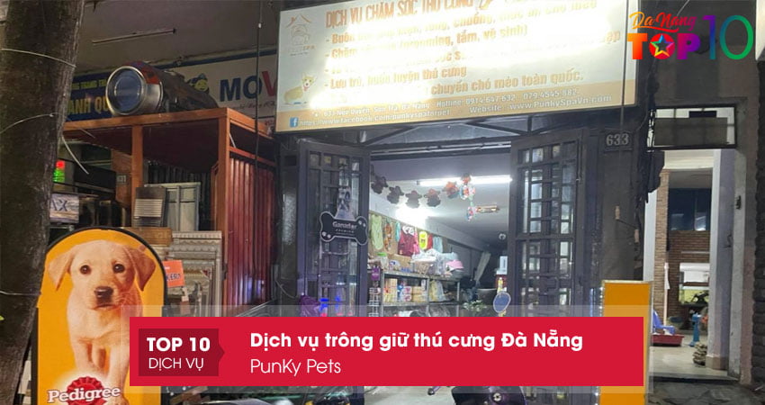 punky-pets-top10danang