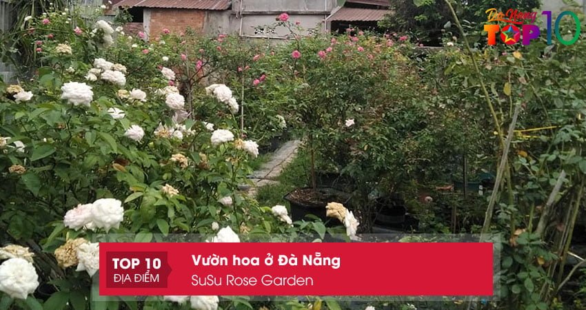 susu-rose-garden-top10danang