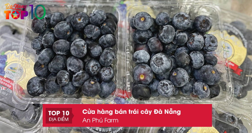an-phu-farm-trai-cay-da-nang-dam-bao-an-toan-thuc-pham-top10danang