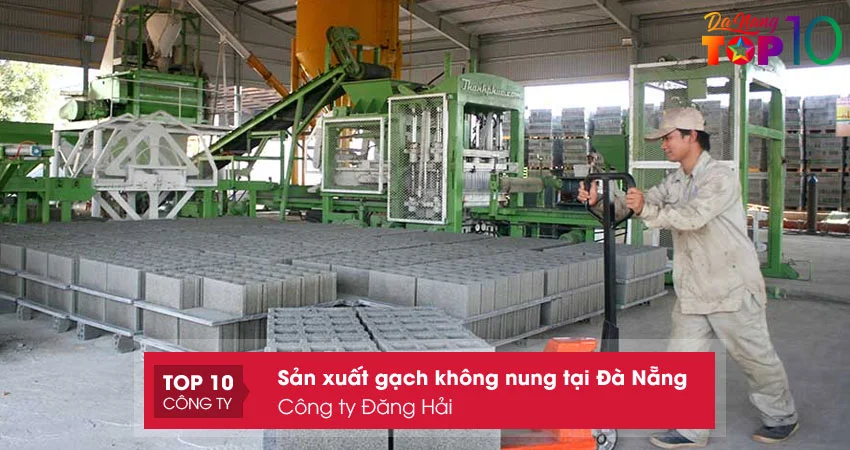 cong-ty-dang-hai-top10danang