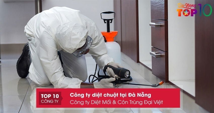 cong-ty-diet-moi-con-trung-dai-viet-top10danang