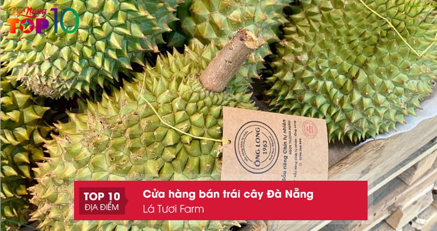 la-tuoi-farm-trai-cay-da-nang-organic-top10danang