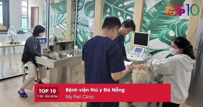 my-pet-clinic01-top10danang