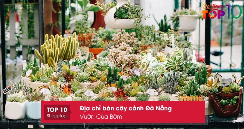 vuon-cua-bom-top10danang