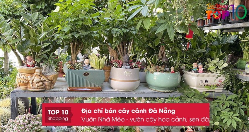 vuon-nha-meo-vuon-cay-hoa-canh-sen-da-top10danang