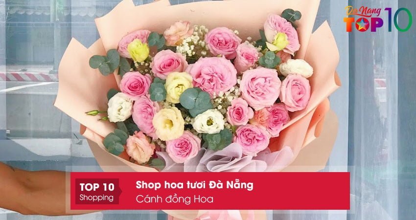 canh-dong-hoa-top10danang