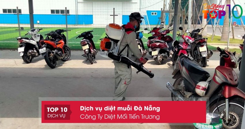 cong-ty-diet-moi-tien-truong-top10danang