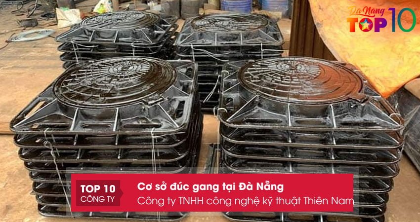 cong-ty-tnhh-cong-nghe-ky-thuat-thien-nam-top10danang