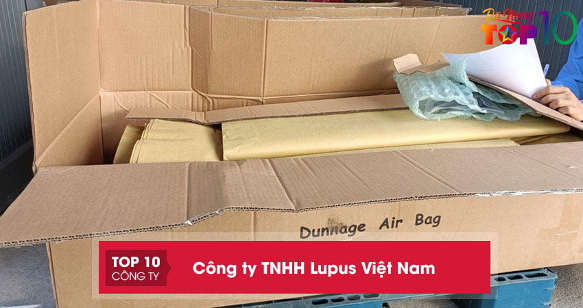 cong-ty-tnhh-lupus-viet-nam-2-top10danang
