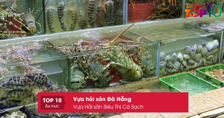 vua-hai-san-sieu-thi-ca-sach-top10danang