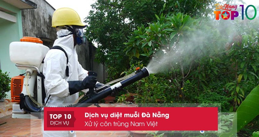 xu-ly-con-trung-nam-viet-top10danang